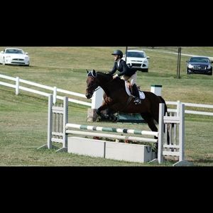 Meet your Posher, Taylor